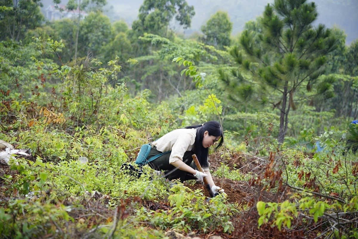 Chung tay phục hồi đất, ngăn chặn sa mạc hóa