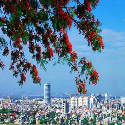 SẮP XẾP ĐVHC: Danh sách 114 xã, phường, đặc khu của thành phố Hải Phòng