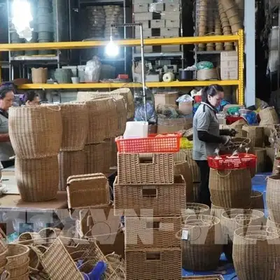 Thương mại Việt Nam - Canada hướng tới liên kết chuỗi giá trị