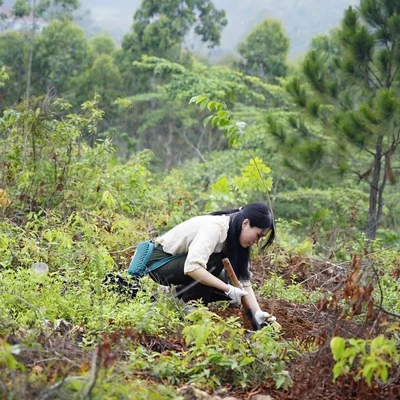 Chung tay phục hồi đất, ngăn chặn sa mạc hóa